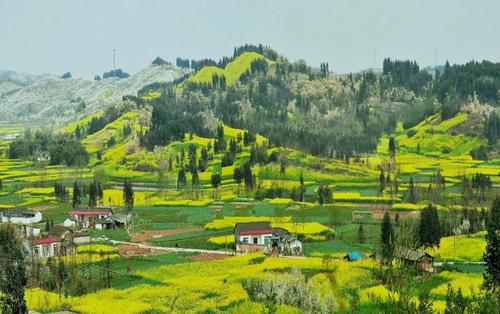 新形勢(shì)下鄉(xiāng)村旅游發(fā)展的“?！薄皺C(jī)”“策”