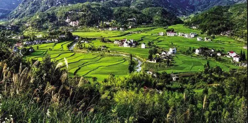 農(nóng)旅康養(yǎng)旅游項(xiàng)目，策劃才是靈魂！